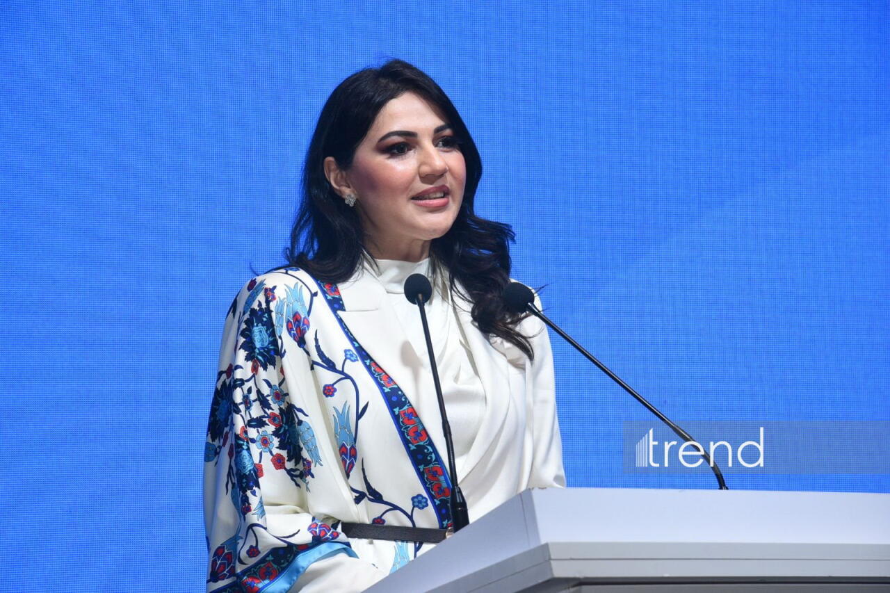 В Баку состоялся Азербайджано-Грузинский медиафорум