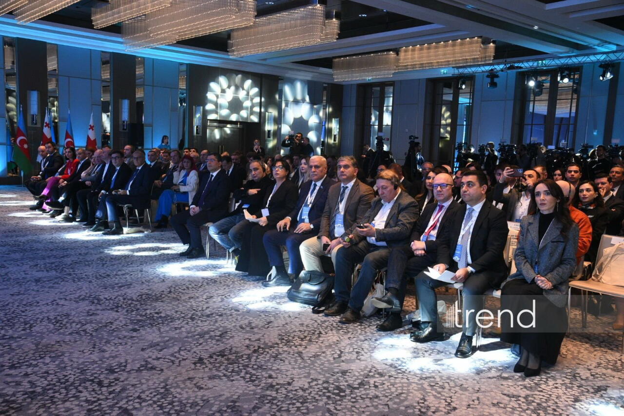 В Баку состоялся Азербайджано-Грузинский медиафорум
