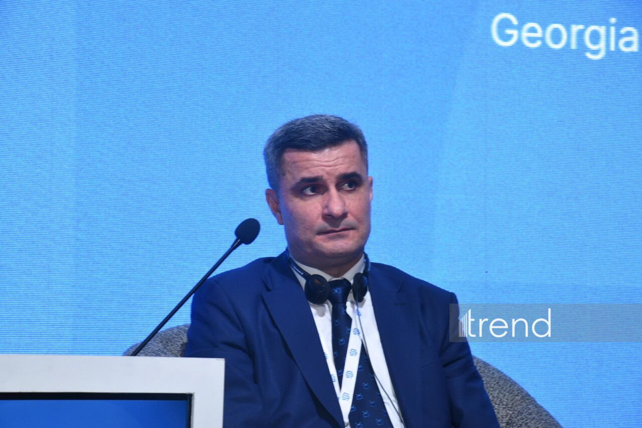 В Баку состоялся Азербайджано-Грузинский медиафорум