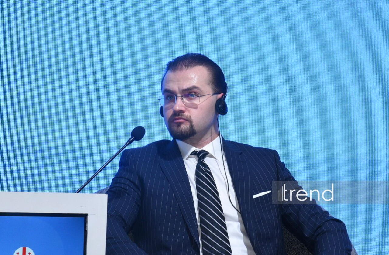 В Баку состоялся Азербайджано-Грузинский медиафорум