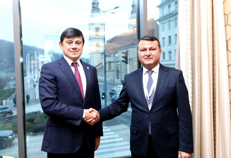 Azərbaycanın diaspor təcrübəsi yüksək qiymətləndirilib