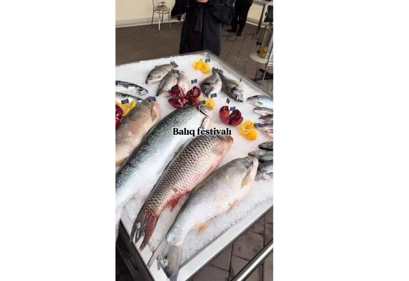 В Азербайджане впервые состоялся Рыбный фестиваль