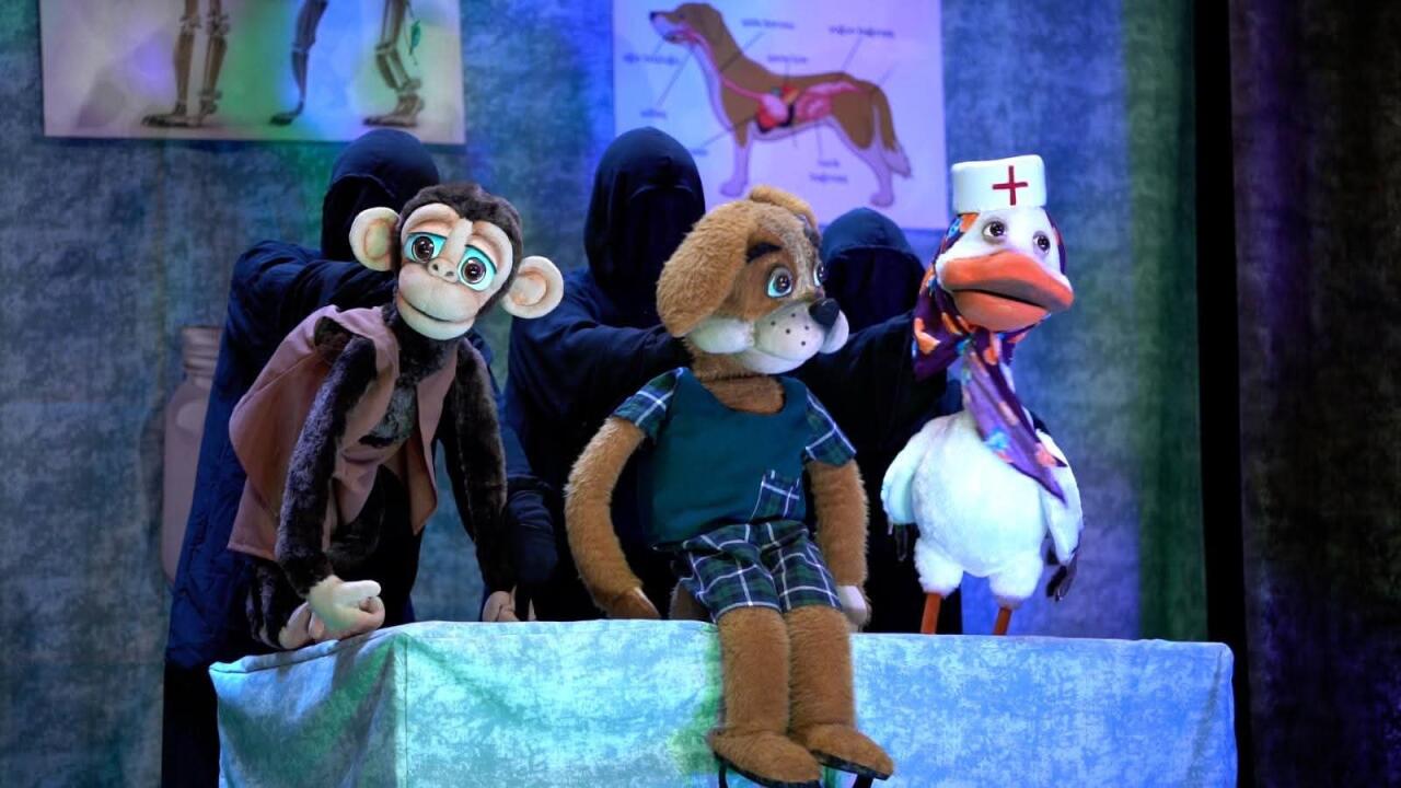 В Баку состоялась премьера детского спектакля "Айболит"