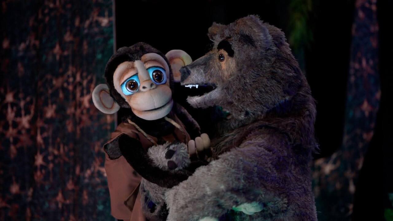 В Баку состоялась премьера детского спектакля "Айболит"