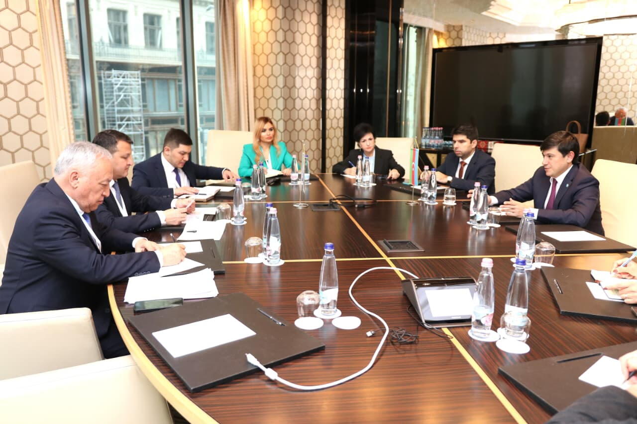 Azərbaycanın diaspor təcrübəsi yüksək qiymətləndirilib