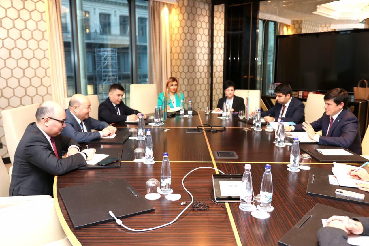 Azərbaycanın diaspor təcrübəsi yüksək qiymətləndirilib