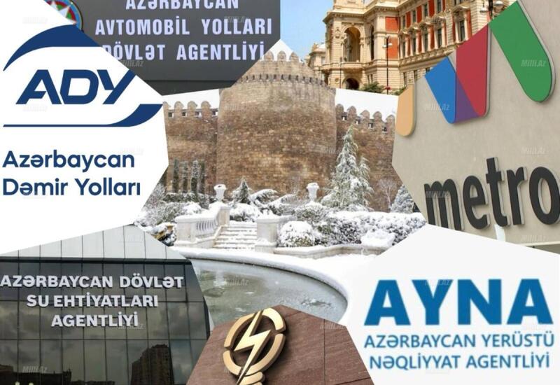 Qurumlar qışa necə hazırlaşır?