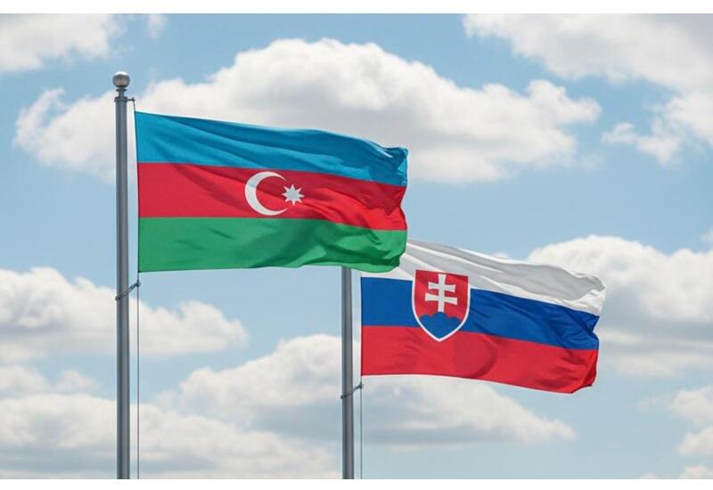 Азербайджан-Словакия: стратегическое партнерство, формирующее новый контур регионального сотрудничества