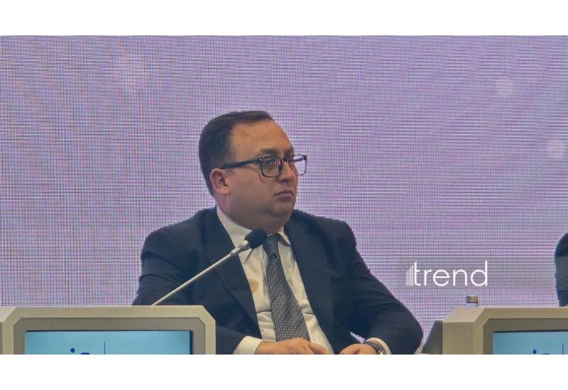 Заур Алиев о сбалансированности объемов импорта и экспорта в аграрном секторе Азербайджана