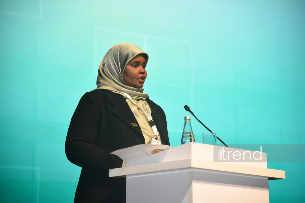 Состоялось торжественное официальное открытие "Культурного фестиваля ОИС: Бакинская Творческая неделя - 2025"