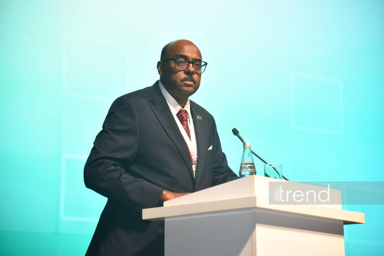 Состоялось торжественное официальное открытие "Культурного фестиваля ОИС: Бакинская Творческая неделя - 2025"