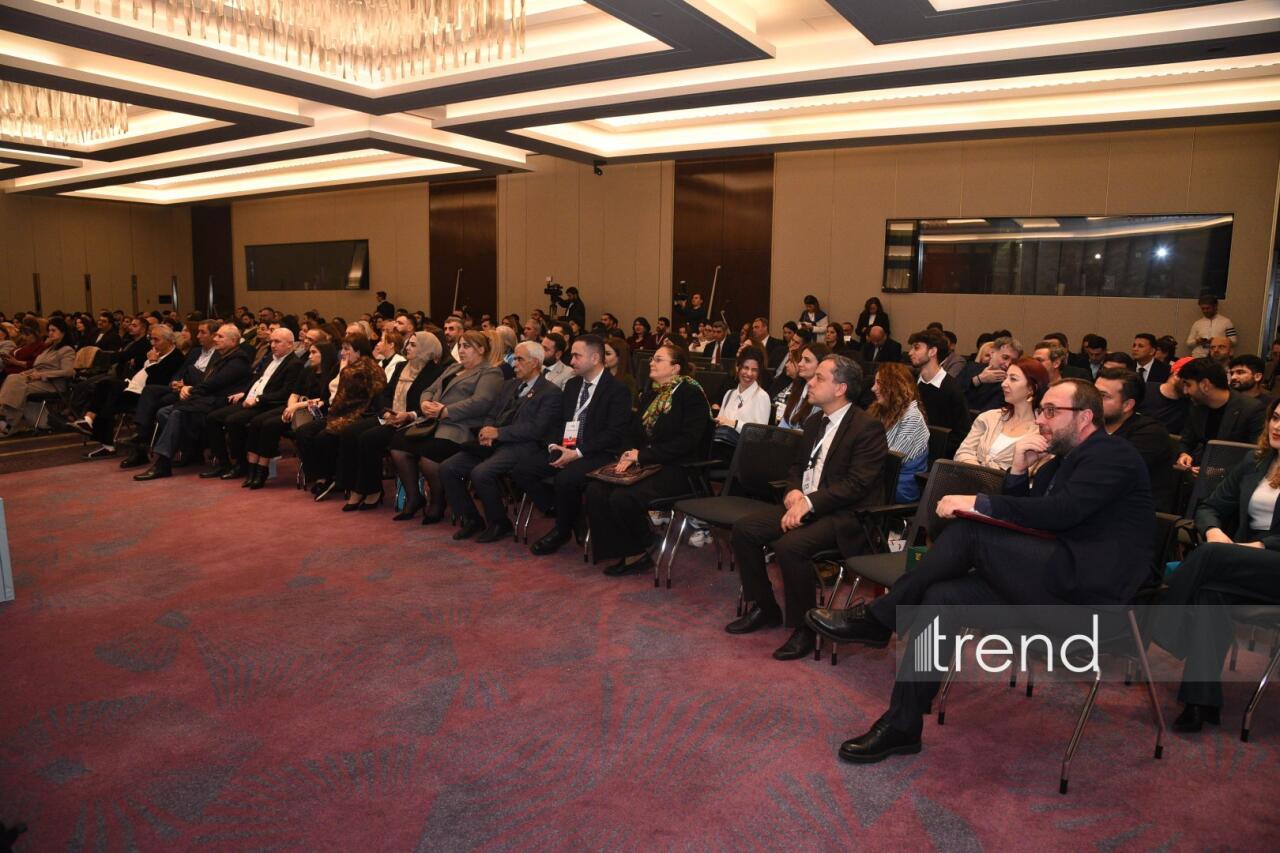 На Бакинской Творческой неделе состоялась презентация онлайн-платформы KinoBox: