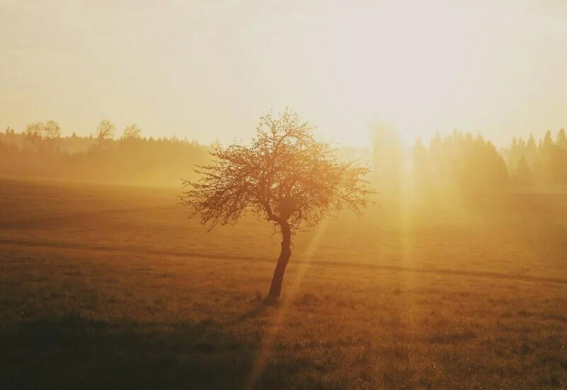 Человечество вошло в коридор самых жарких лет в истории