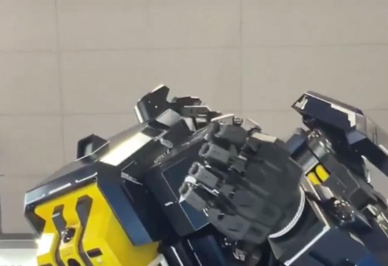 В Японии презентовали нового большого робота