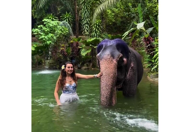 Азербайджанский модельер провела день среди слонов в Таиланде