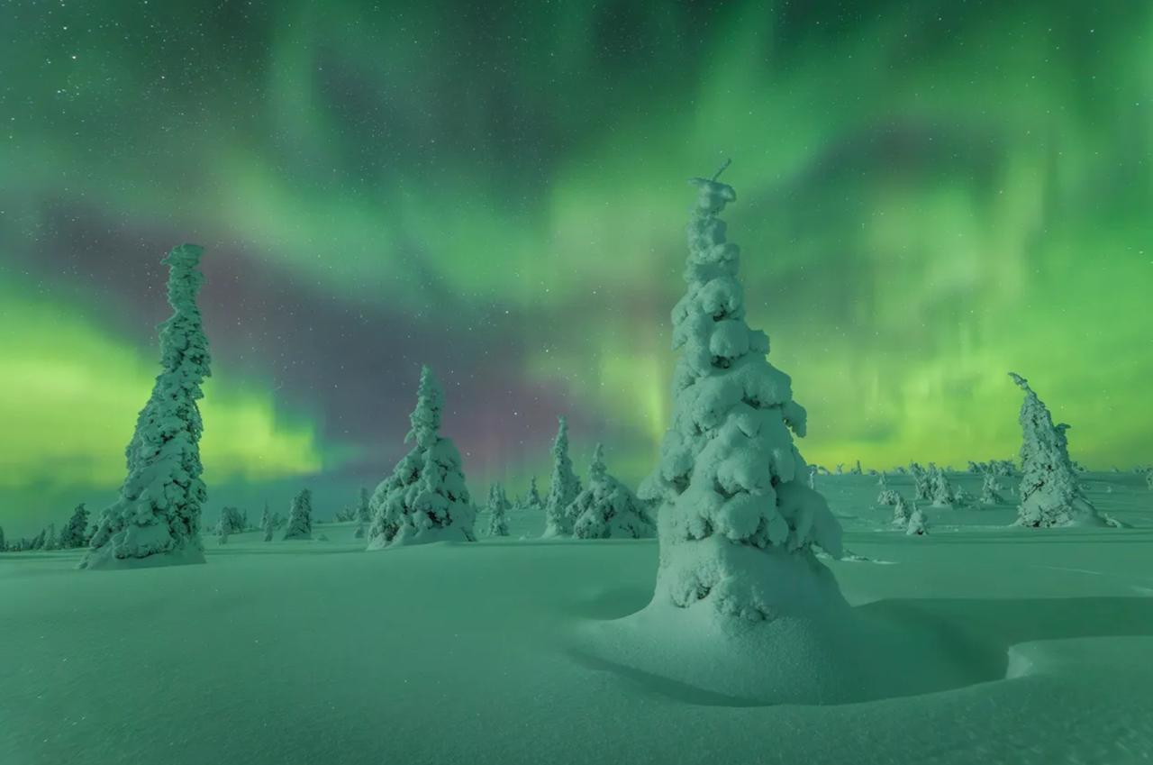 Лучшие фото северного сияния за 2025 год