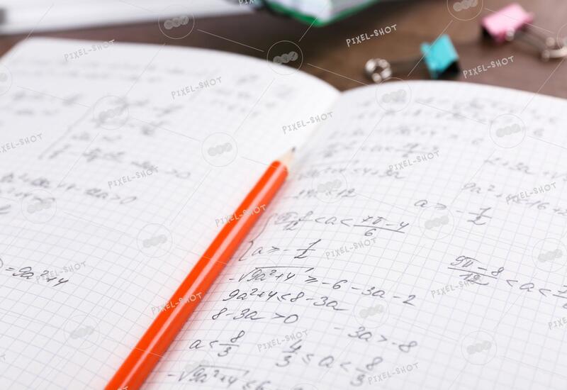 Финляндия фиксируют рост нелегальных домашних школ