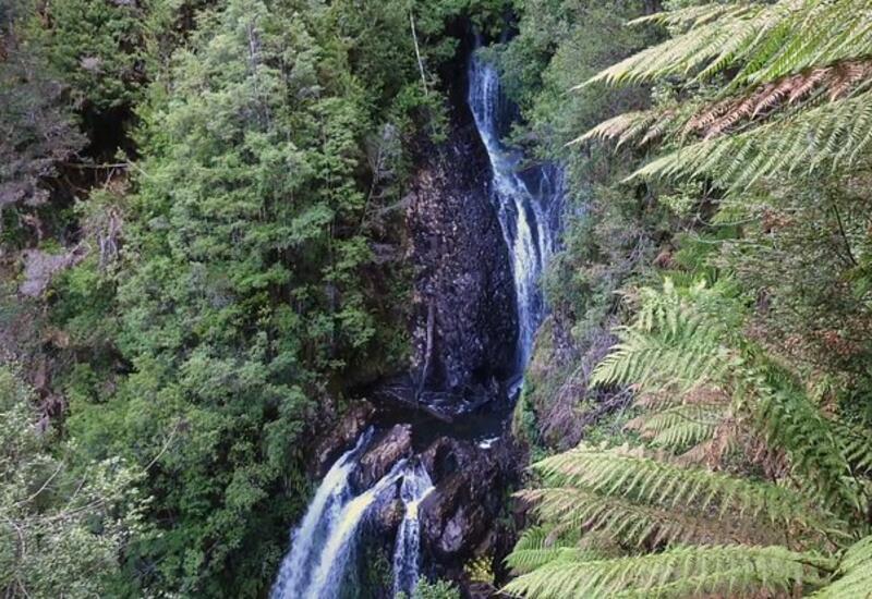 Телефон туристки нашли спустя 2,5 года после ее исчезновения