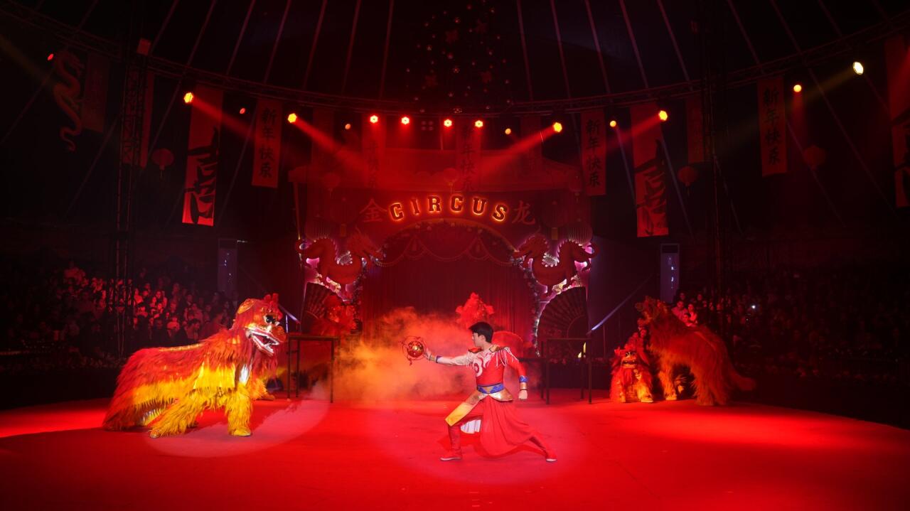 Китайский цирк в Баку бьет рекорды - уже продано 20 000 билетов