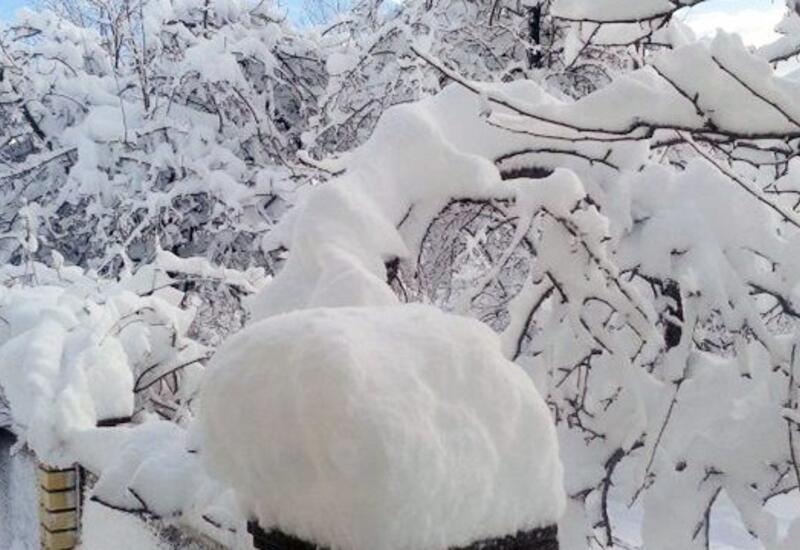 В горных районах выпал снег