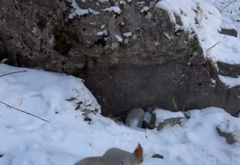 Азербайджанский блогер Джавид Байрамлы прогулялся по заснеженному Алматы