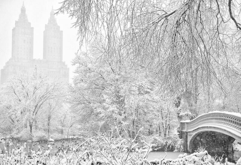 В США знаменитый парк завалило снегом