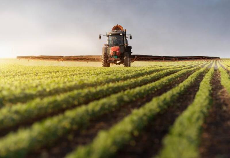 Более трети трудоспособного населения Азербайджана заняты в агросфере