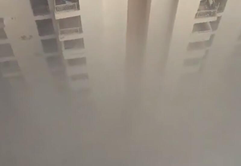 Уровень загрязнения воздуха в Индии удивил Сеть