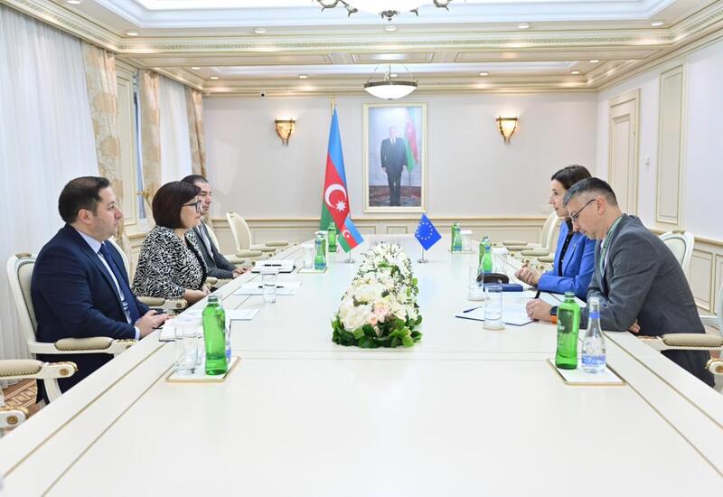 Sahibə Qafarova Avropa Parlamentinin Azərbaycan əleyhinə qətnamələrini qərəzli adlandırıb