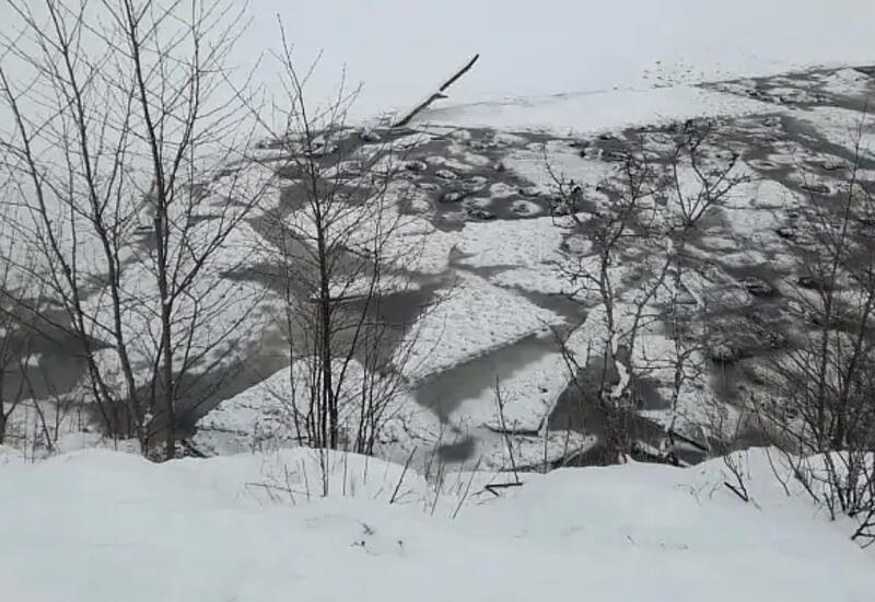 Более 200 баранов провалились под лед