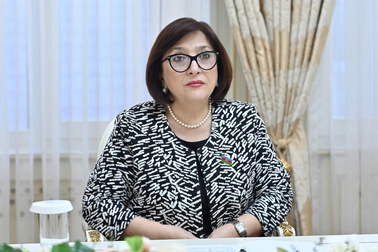 Сахиба Гафарова обсудила с главой делегации ЕС в Азербайджане мирный процесс с Арменией