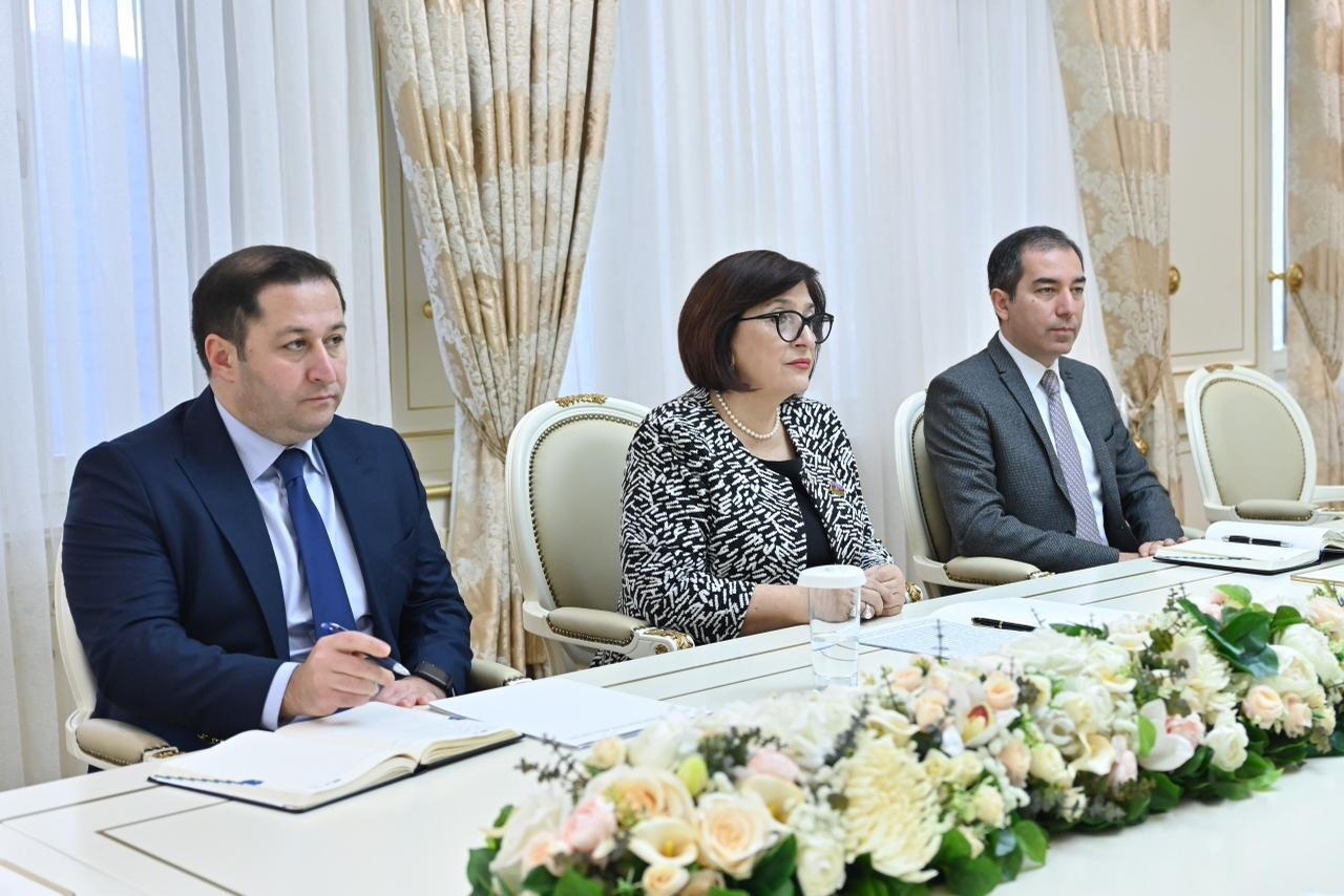 Сахиба Гафарова обсудила с главой делегации ЕС в Азербайджане мирный процесс с Арменией