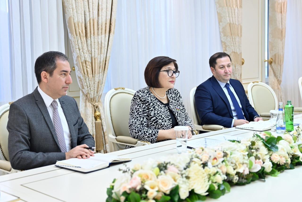 Сахиба Гафарова обсудила сотрудничество с послом Египта в Азербайджане