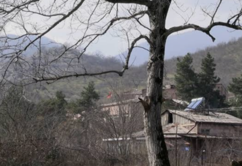 Тишина на границе: почему Нареку Карапетяну она невыгодна?