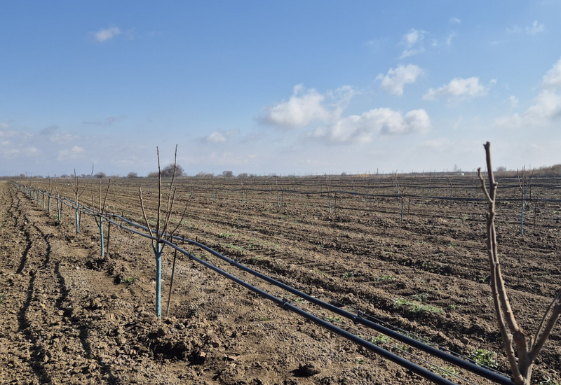 В Азербайджане обновят перечень строек, не требующих разрешения