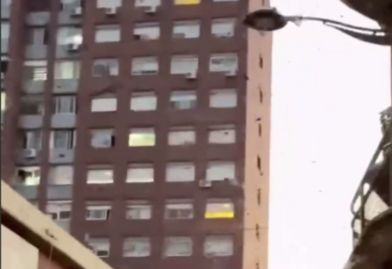 Уругвай заполонили стрекозы