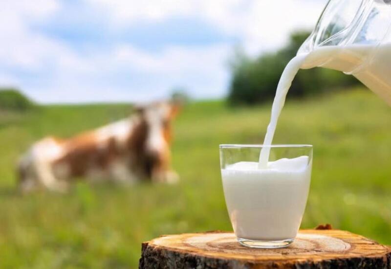 Почему потребители стали осторожнее с деревенским молоком