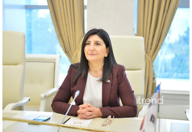 Avropa Parlamentinin qətnaməsi Azərbaycanın daxili işlərinə kobud müdaxilədir