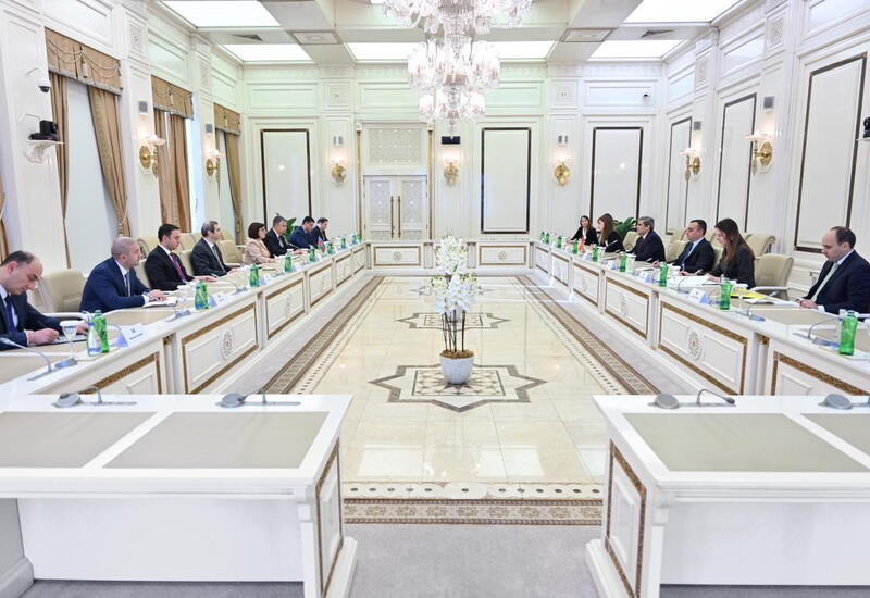 Сахиба Гафарова встретилась с заместителем премьер-министра Монтенегро