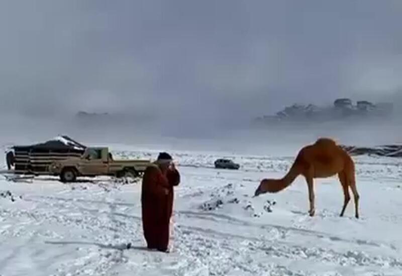 Мощный снегопад прошел в центре Саудовской Аравии