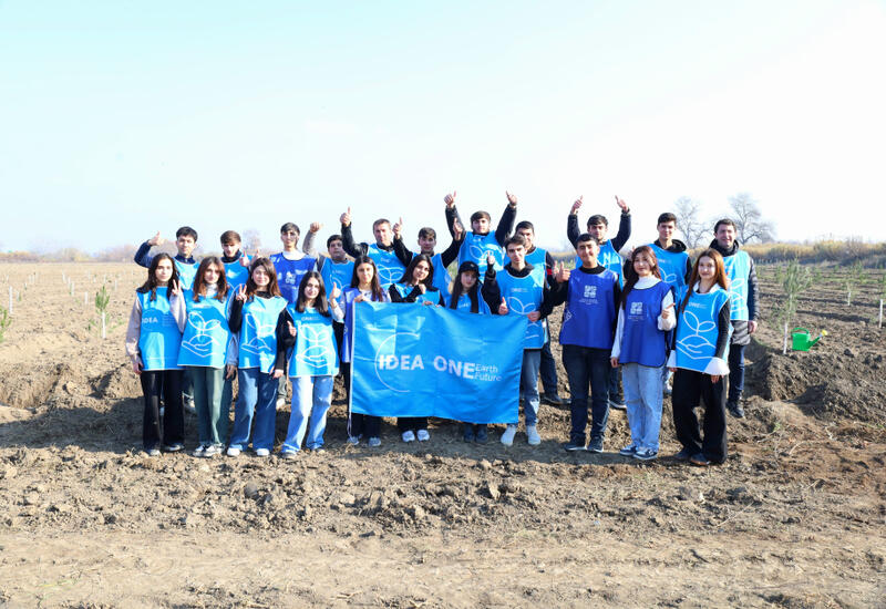 IDEA Bərdə və Beyləqanda kütləvi ağacəkmə aksiyaları təşkil edib