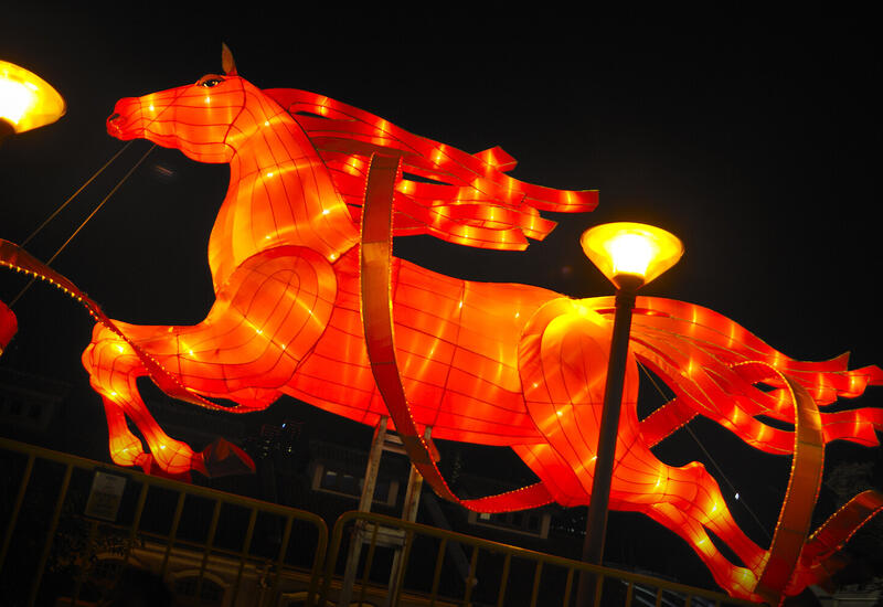 Необычные факты о лошади