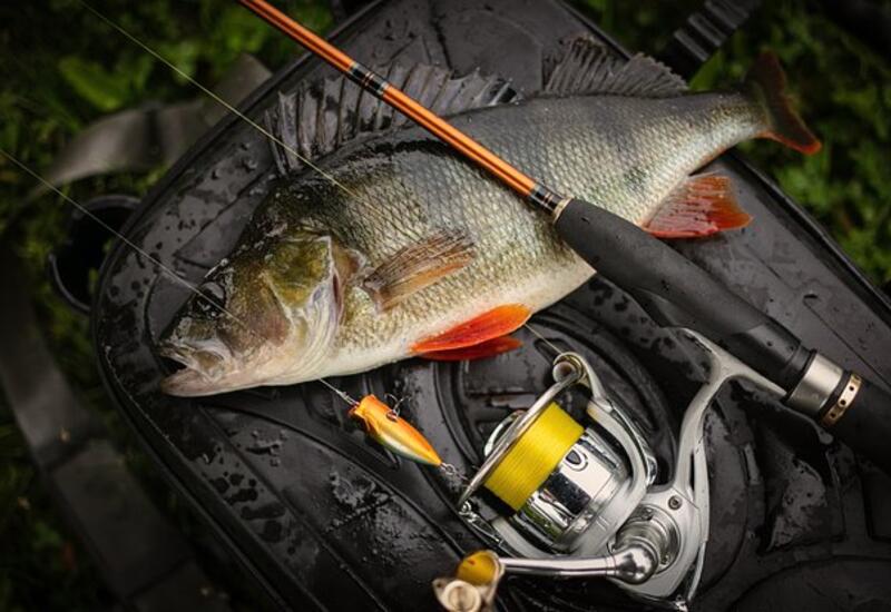 Мужчина поймал маленькую рыбу и побил 35-летний рекорд