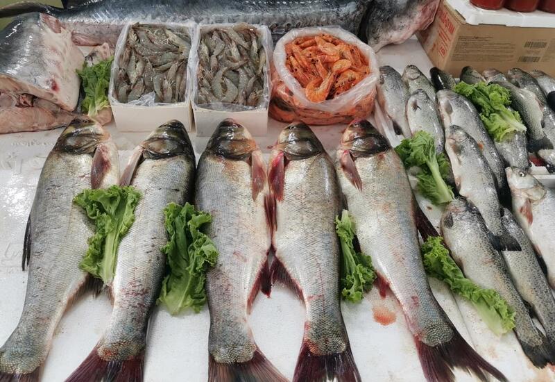 Налоговые льготы в Азербайджане охватят и рыболовную отрасль