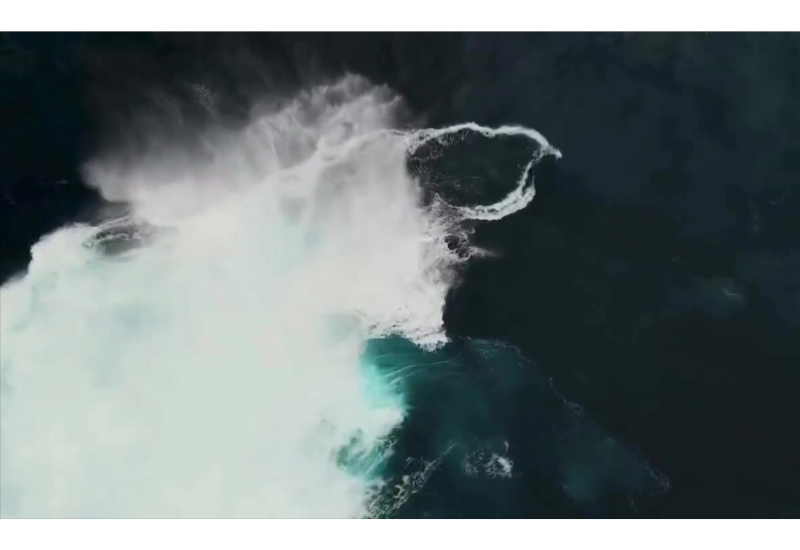 Австралийские серферы стали свидетелями редчайшего явления в океане