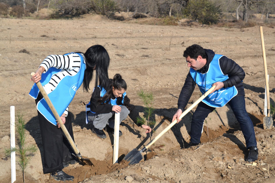 IDEA Bərdə və Beyləqanda kütləvi ağacəkmə aksiyaları təşkil edib