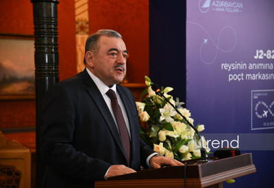 Расследование инцидента с самолетом AZAL продолжается - Ильхам Амиров