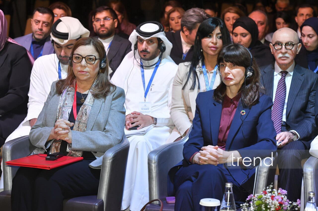 В Баку проходит международная конференция, посвященная защите детей в цифровой среде