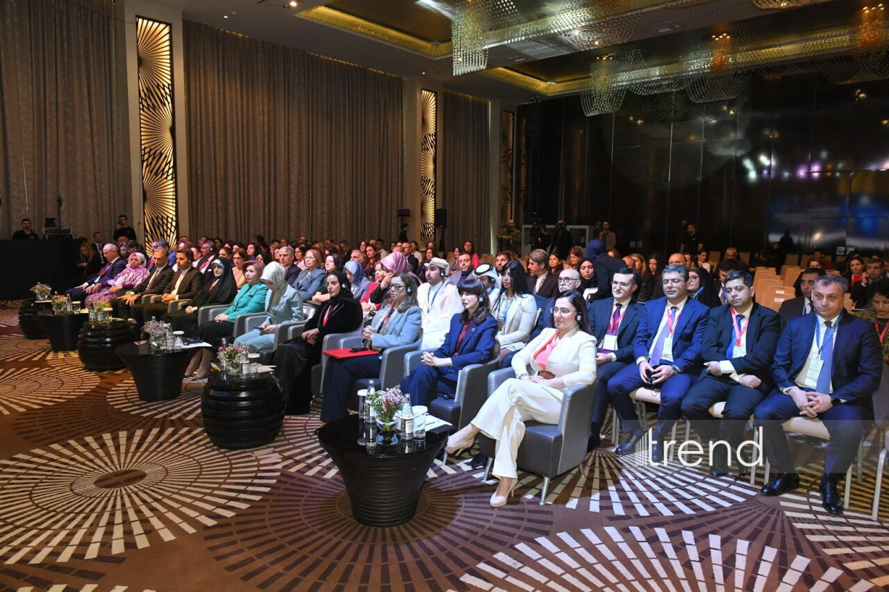 В Баку проходит международная конференция, посвященная защите детей в цифровой среде