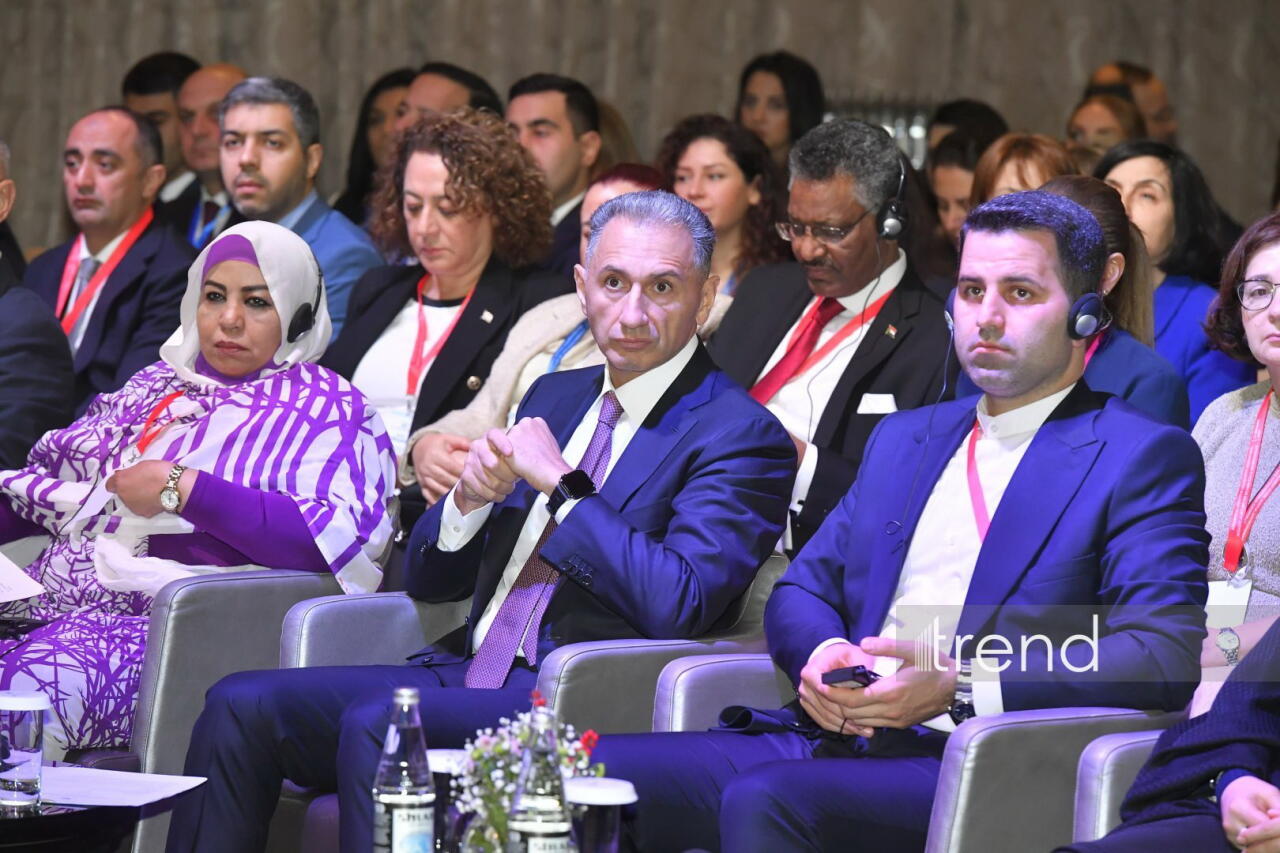 В Баку проходит международная конференция, посвященная защите детей в цифровой среде